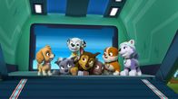 Paw Patrol - Helfer auf vier Pfoten – L-R: Skye, Rocky, Marshall, Chase, Zuma, Rubble, Everest