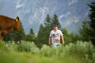 Heimatleuchten – Peter Perntahler Junior bei seinen Kühen.