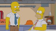 Die Simpsons – Die Simpsons (2013)