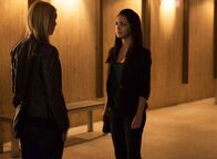 Homeland – Homeland (2014)