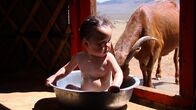 Babys – Da hat sich die Ziege wohl im Wassertrog geirrt. Seine Körperpflege bekommt Bayarjargal draußen in einer Wanne ...