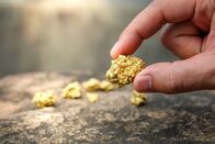 Die Gier nach Gold – Goldsuche