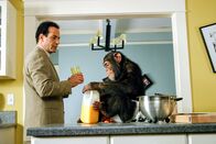 Monk – Monk "Mr. Monk and the Panic Room" (L-R) Tony Shaloub, Mowgli Photographer: Scott Humbert