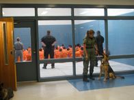 Lockdown – Lockdown blickt hinter die Mauern des Hillsborough County Jail in Florida mit knapp 4000 Häftlingen und seinem Gefängnispersonal, das ständigen hinterhältigen Angriffen der gefährlichen Insassen ausgeliefert ist ...