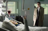 Das Omen – Do, 23.10., 12:30 Uhr