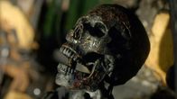 American Fright Fest – Fr, 28.10., 10:05 Uhr