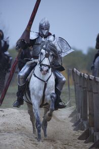 Terra X: Die Welt der Ritter – Die Rüstung gab dem Ritter viel Schutz, um gegen Lanzen und Schwerter gewappnet zu sein. Im Spätmittelalter konnte man nur mitmachen, wenn man nachweisen konnte, seit Generationen dem Ritterstand anzugehören.