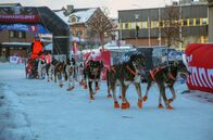 GEO Reportage – Ankunft in Kirkenes beim Finnmarkslauf: Es ist das längste Hundeschlittenrennen Europas.
