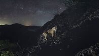 Am Strand der Jaguare – Ein Jaguar im Santa Rosa-Nationalpark, Costa Rica. (Terra Mater Studios/Brian Moghari)