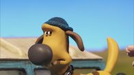 Shaun das Schaf – Bitzer ist frisch gewaschen und geföhnt. Auf geht es zur Hundeschau…