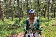 Afrikas Berge – Masika Maskaweni im Pinienwald