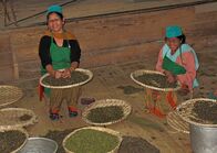 Straße der Achttausender – Darjeeling-Tee wird gereinigt.