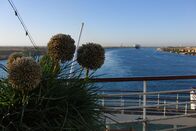 Verrückt nach Meer – Die "MS Artania" im Suezkanal.