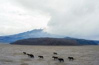 Magische Anden – Im gleichnamigen Nationalpark Ecuadors liegt der Eisvulkan Cotopaxi, einer der höchstgelegenen aktiven Vulkane der Erde.