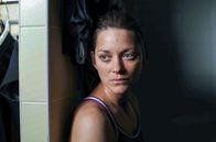 Der Geschmack von Rost und Knochen – Die attraktive Schwertwal-Trainerin Stéphanie (Marion Cotillard) steht mitten im Leben. Bis sie bei einer Show schwer verletzt wird ...