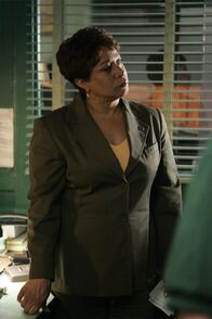 Law & Order – Law & Order (2006)
