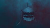 Giganten der Urzeit – Ausgestorbener Riesenhai: Der Megalodon - das größte Raubtier aller Zeiten. Der Ur-Hai wurde bis zu 20 Meter lang und 50 Tonnen schwer.