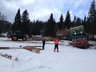 Ice Road Rescue - Extremrettung in Norwegen – Ein Holztransporter ist beim Beladen von Holz von der Fahrbahn abgekommen.