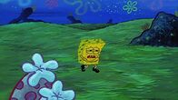 SpongeBob Schwammkopf – SpongeBob
