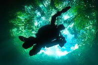 Terra X: Faszination Wasser – In den Cenoten liegt eine leichtere Schicht aus Süßwasser auf schwererem Salzwasser.