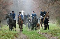 Re: – Üblicherweise werden Hirsche mit 30 bis 40 Hunden, ebenso vielen Reitern sowie weiteren 50 bis 100 Gefolgsleuten und Helfern - zu Fuß, auf dem Rad oder im Auto – gejagt.