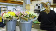 Impact – Impact Umweltsünder Blumen – Darf man jetzt nicht mal mehr Blumensträusse kaufen? Blumensträusse in Eimern Copyright: SRF
