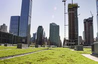 Inselwelt New York – Zusammen mit dem New Yorker Messezentrum begrünt die Umweltorganisation New York Audubon Society das fast 30.000 Quadratmeter große Dach des Javits Centers und schafft damit einen einzigartigen Lebensraum für Insekten, Fledermäuse und Vögel.