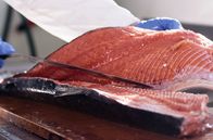 Märkte - Im Bauch von … – Frischer Lachs für den Fisketorget, den Fischmarkt von Bergen