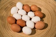 Schmatzo – Eier.