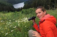 Wunderschön! – Der Wildnis-Trail durch den Nationalpark Eifel macht seinem Namen alle Ehre: Schmale Pfade schlängeln sich über 85 Kilometer durch dichte Wälder mit umgestürzten Bäumen, über sturmumtoste Höhen, vorbei an Bächen, Wildblumenwiesen und kleinen Dörfern. Tamina Kallert wandert die erste der vier Etappen durch die wilde Eifel, in der die Natur wieder Natur sein darf.