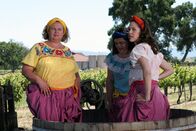 Monk – Monk Season4 EP Mr Monk Gets Drunk, Monk Staffel4 EP Mr Monk ist betrunken