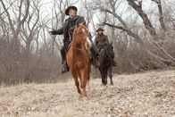 True Grit – Mattie Ross (Hailee Steinfeld) möchte ihren ermordeten Vater rächen. Dabei kommt ihr der unberechenbare Marshal Rooster Cogburn (Jeff Bridges) zur Hilfe. Gemeinsam wollen sie den Mörder jagen.