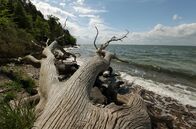 Wilde Ostsee – Die Ostsee ist das jüngste Meer der Erde und erst nach der letzten Eiszeit entstanden. Es scheint so vertraut, bietet aber viele Überraschungen. Wind und Wellen formen bis heute die Ufer der Ostsee. Die erste Folge führt von Dänemarks Nordspitze, über die Halbinsel Darß und die Kurische Nehrung bis zu den endlosen Stränden Lettlands. - Foto: Wilder Strand an der Ostsee.