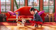 Pets – Max (l.); Katie (r.)