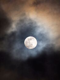 Die Osbournes - Paranormal Check – Radley Village, Oxfordshire, England - 10 March 2020; The ultimate in stay-at-home photography, showing you don't need to go half way around the world to get the shot. This is a hand-held super tele shot of a recent winter supermoon, taken from my back garden! A supermoon is a full moon or a new moon that coincides with perigee, the closest that the Moon comes to the Earth in its elliptic orbit; this results in a larger-than-usual looking moon when seen from Earth - in this case, my home village!