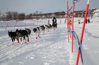 GEO Reportage – Beim Finnmarkslauf, dem längsten Hundeschlittenrennen Europas, geht es 1.200 Kilometer durch Lappland.