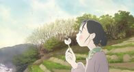 In This Corner Of the World – Suzu Houjou