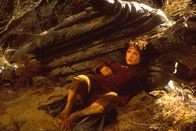 Der Herr der Ringe - Die Gefährten – Beutlin entschließt sich, aus dem Auenland fortzugehen und vermacht seinem Neffen Frodo (Elijah Wood) einen geheimnisvollen Ring ...