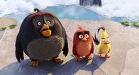 Angry Birds - Der Film – L - R: Bomb, Red, Chuck