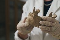 Cold Case – Der Kieferabdruck des ermordeten Giuliano de' Medici ist hochinteressant: Er zeigt nicht nur die Verletzung am Kiefer, die während des Attentats verursacht wurde. Er gibt uns auch interessante Einblicke in seinen Gesundheitszustand.