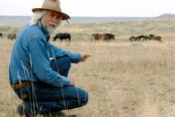 Expeditionen: Mustangs - lebende Legenden – Erich Pröll.
