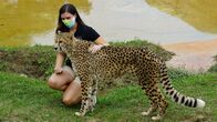 Zoogeflüster – Kaylee Franklin zeigt Kvamme, dem Geparden, ihre Liebe (National Geographic/Jesse Kennedy)
