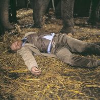 Tatort – Eines Morgens liegt Tierparkinspektor Rolf Bergmann (Raimund Harmstorf) tot in der Box einer Elefantenkuh. Alles deutet darauf hin, dass das Tier ihn tot getrampelt hat, auch wenn die Kuh sonst als äußerst friedfertig gilt.