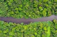 Costa Rica - Der Natur zur Seite stehen – Die Küsten des Landes zwischen Pazifik im Westen und Karibik im Osten sind mit rund 35.000 Hektar Mangrovenwäldern bewachsen.