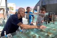 Heißzeit – Forscher kontrollieren Korallenbecken an der Teststation „Red Sea Simulator“ am Roten Meer im israelischen Eilat. Dort werden Korallen hohen Wassertemperaturen ausgesetzt, um zu untersuchen, wie sie darauf reagieren.