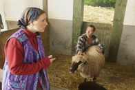 Sechserpack – Ein Bauer und sein Lieblings-Schaf - ein wirklich schönes Paar, aber wehe sie werden erwischt! (Hanno Friedrich, l., Nina Vorbrodt, r.)