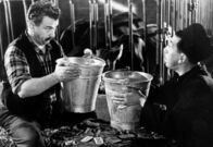Don Camillo und Peppone – Manchmal müssen Don Camillo (Fernandel) und der grantige Peppone (Gino Cervi) eben doch zusammenarbeiten: zum Beispiel im Kuhstall.