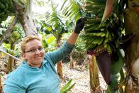 Zu Tisch ... – Rosas Tochter Nisamar Sánchez Aguiar auf der Bananenplantage: Ihre Mutter verwendet Palmhonig gern für ihre Süßspeisen.