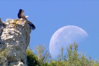 GEO Reportage – GEO Reportage (2017)