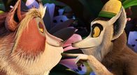 King Julien – Do, 20.10., 06:05 Uhr